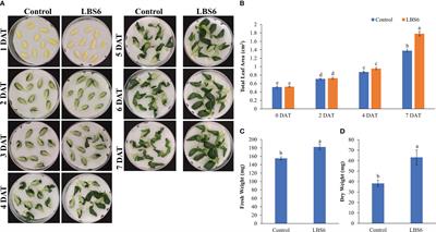 Understanding the mode of action of AgroGain®, a biostimulant derived from the red seaweed Kappaphycus alvarezii in the stimulation of cotyledon expansion and growth of Cucumis sativa (cucumber)